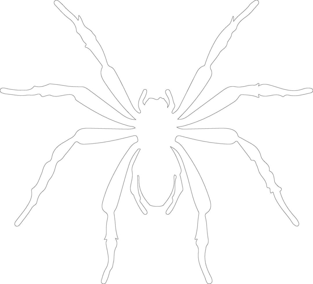 arácnido contorno silueta vector