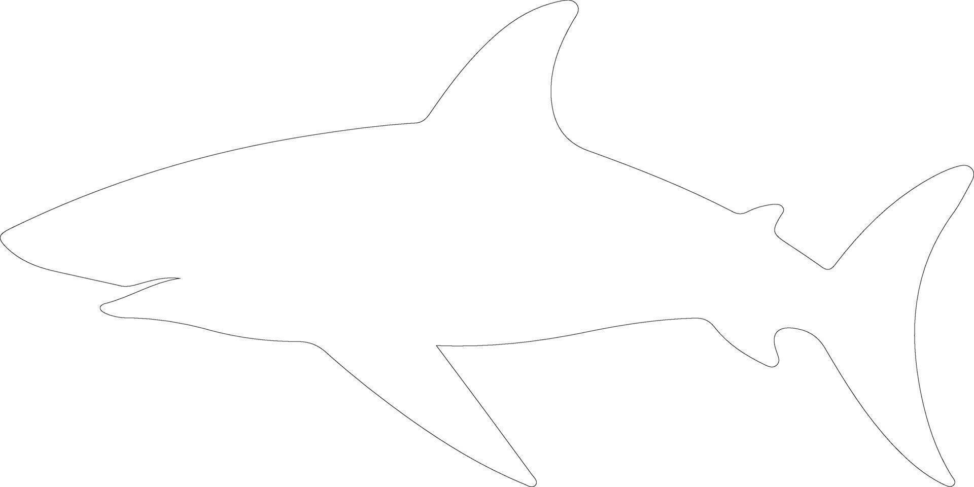 Galapagos shark   outline silhouette vector