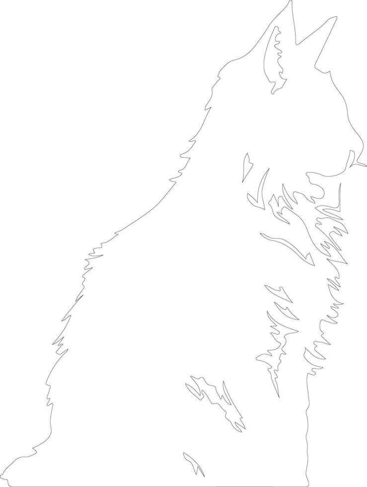 Maine Coon Cat  outline silhouette vector