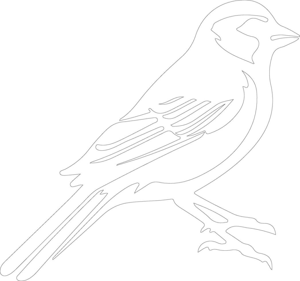 American tree sparrow  outline silhouette vector