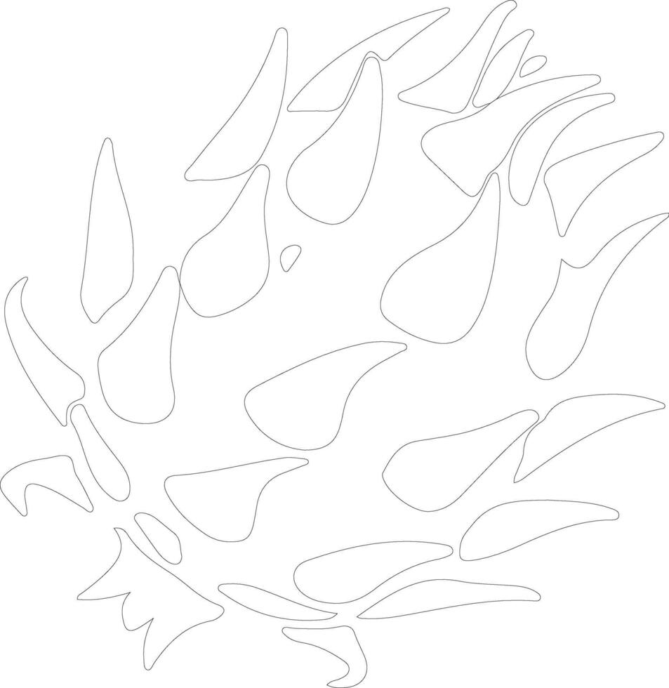 dragon fruit  outline silhouette vector