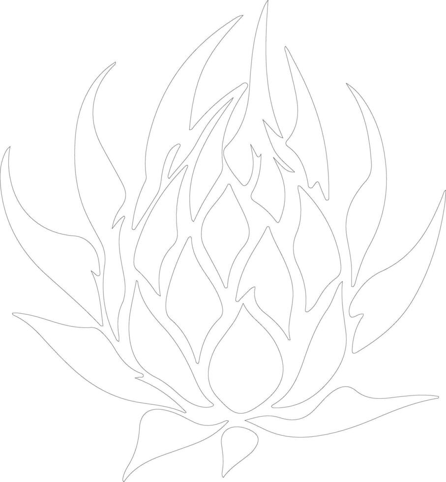 dragon fruit  outline silhouette vector