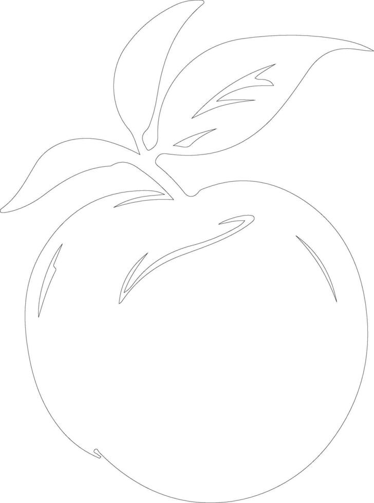 peach  outline silhouette vector
