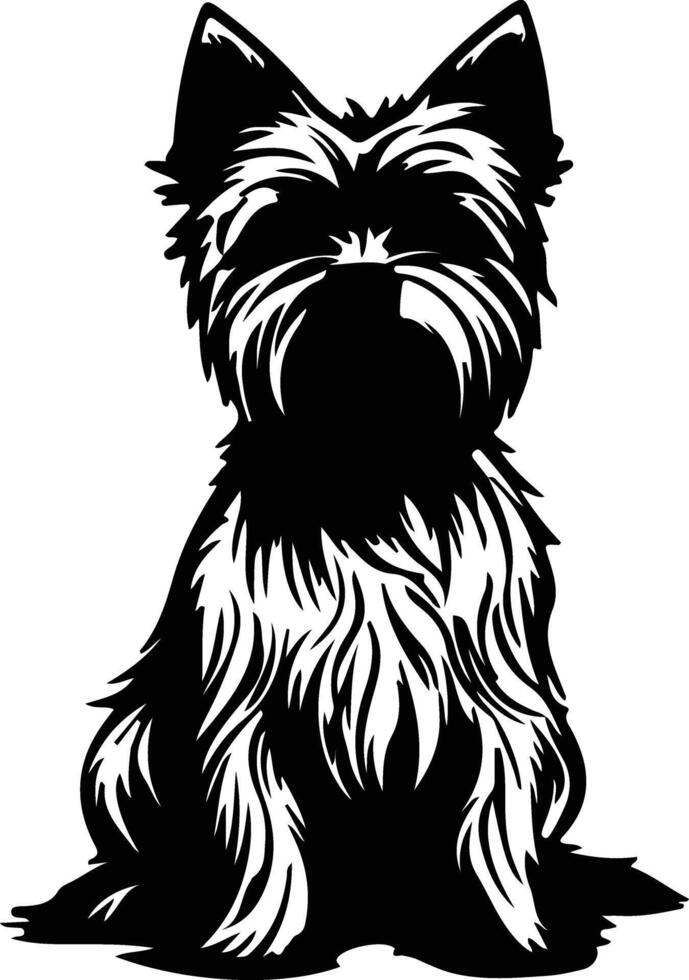 Silky Terrier   black silhouette vector