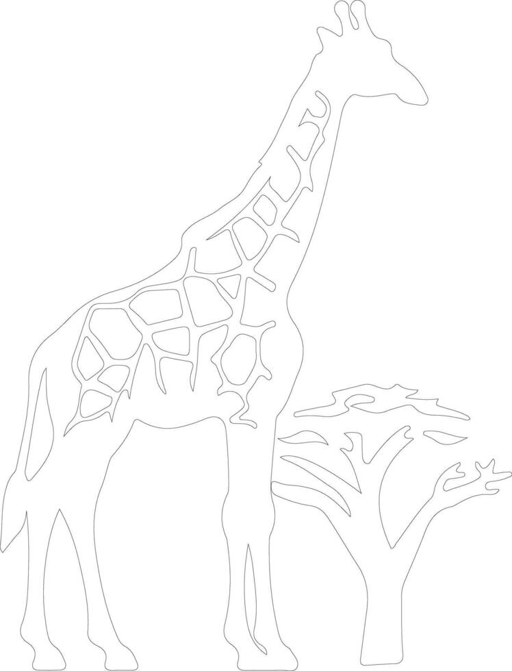 giraffe   outline silhouette vector