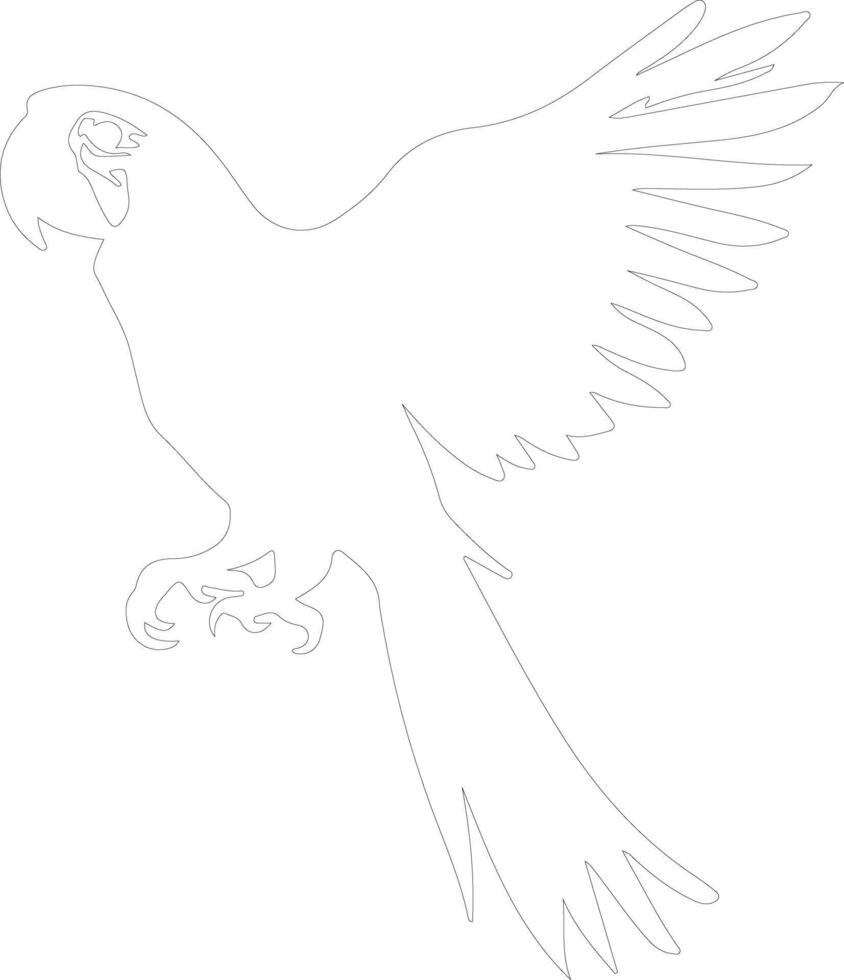 scarlet macaw   outline silhouette vector