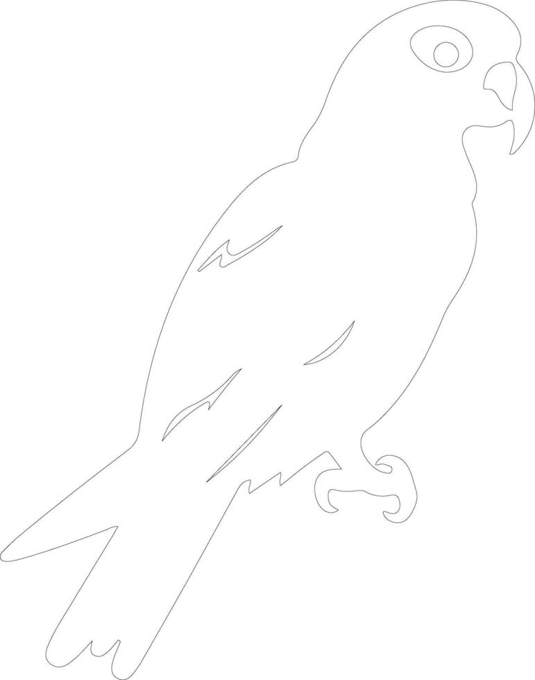 African gray parrot  outline silhouette vector