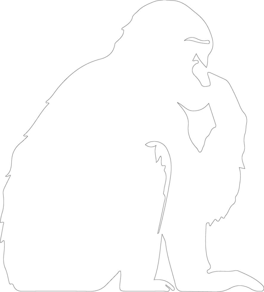 bonobo outline silhouette vector