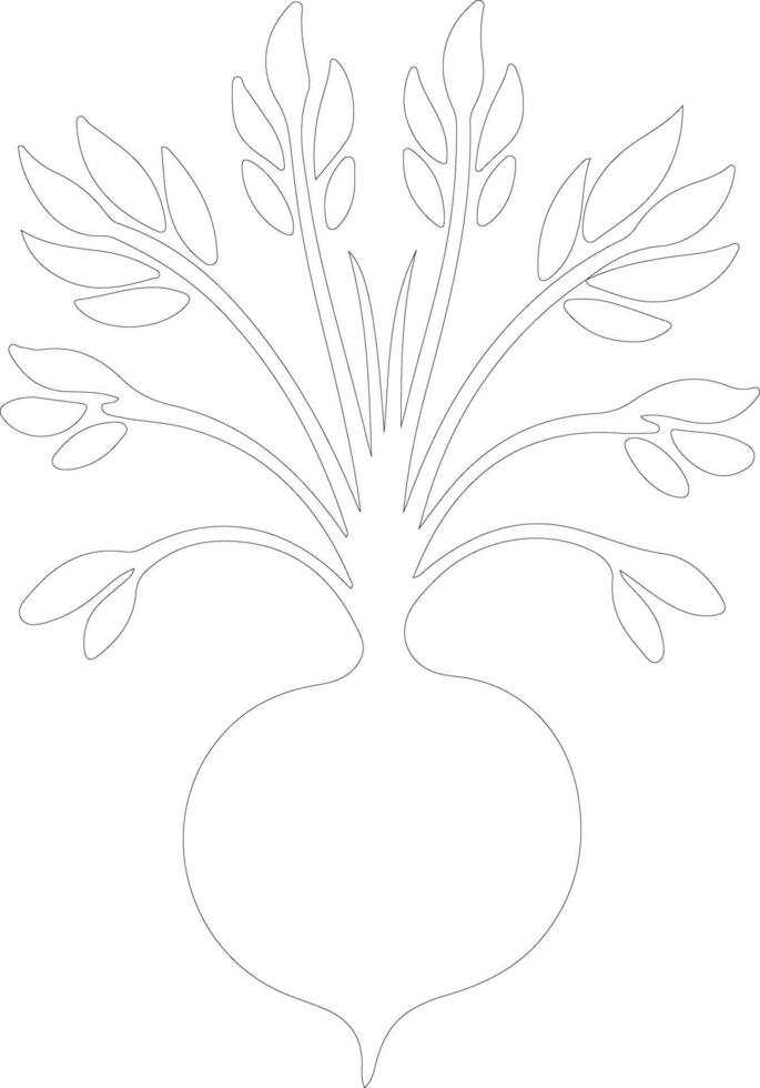 rutabaga  outline silhouette vector