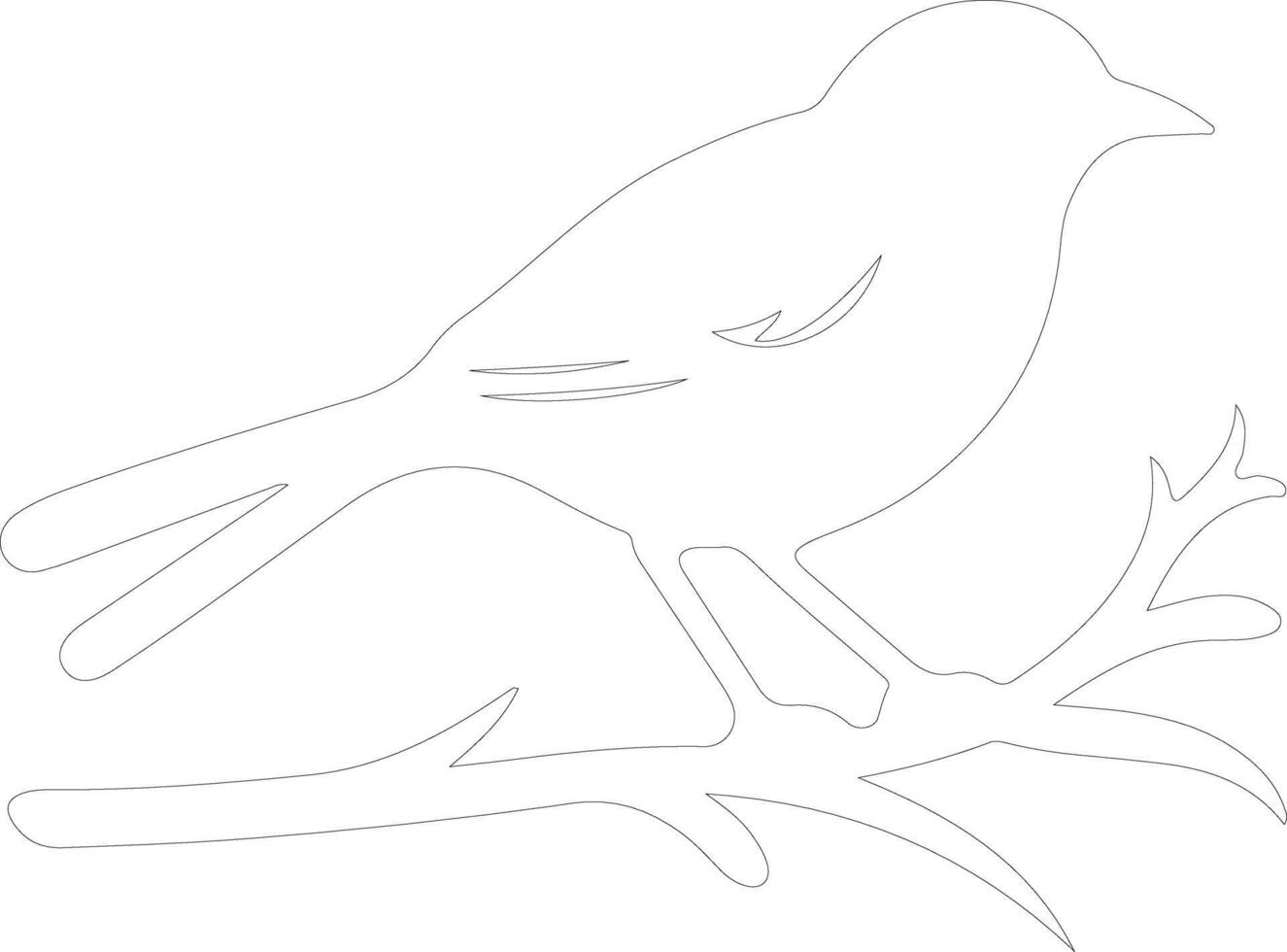 bird  outline silhouette vector
