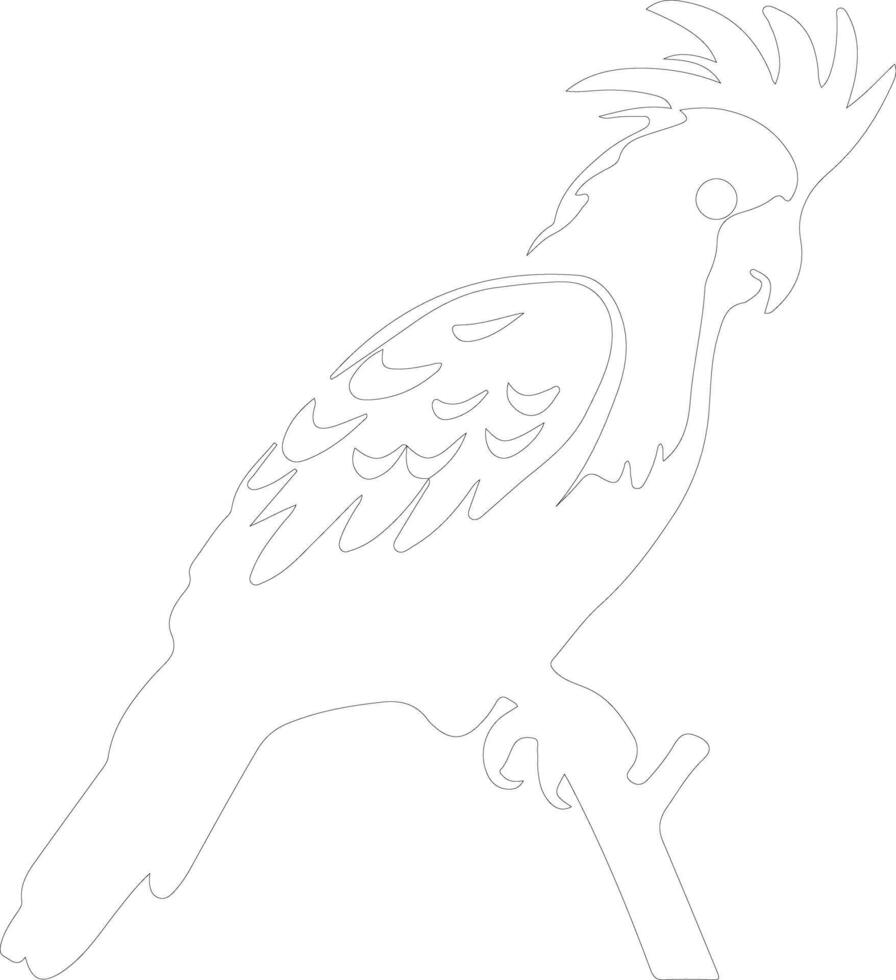 cockatoo outline silhouette vector