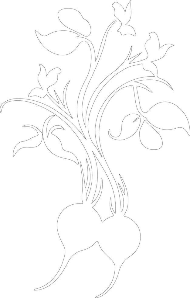 radish  outline silhouette vector
