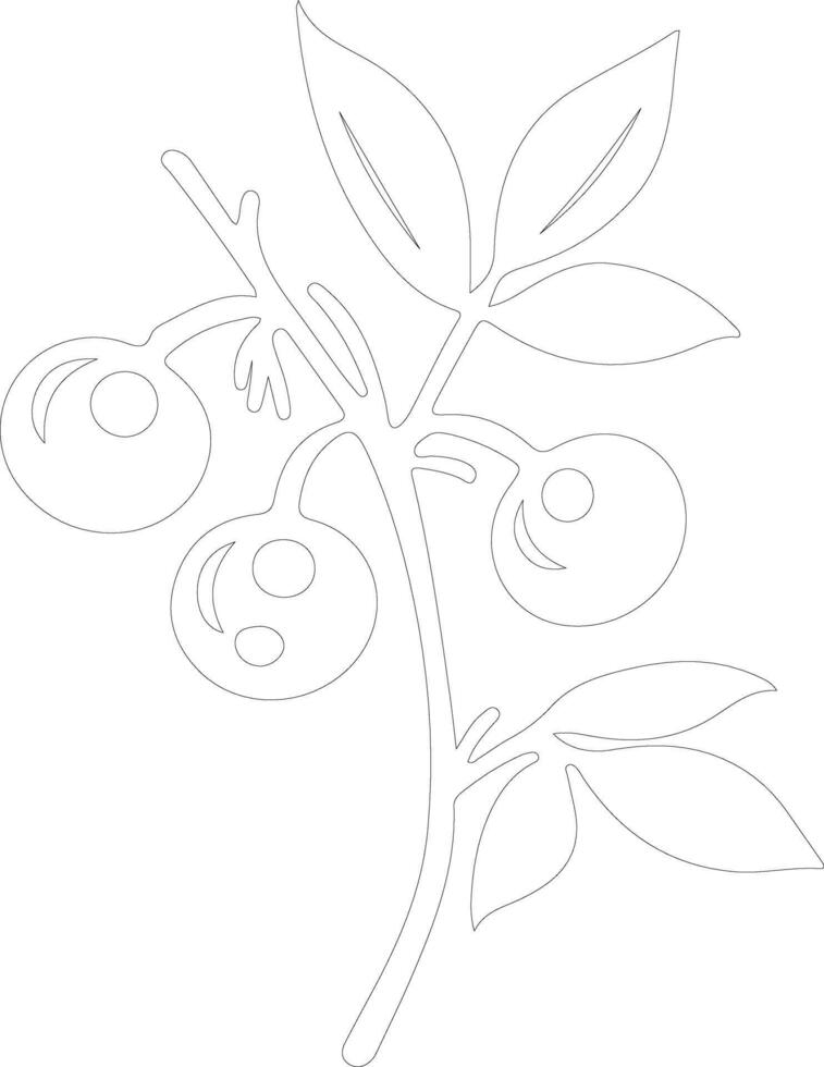 lingonberry  outline silhouette vector