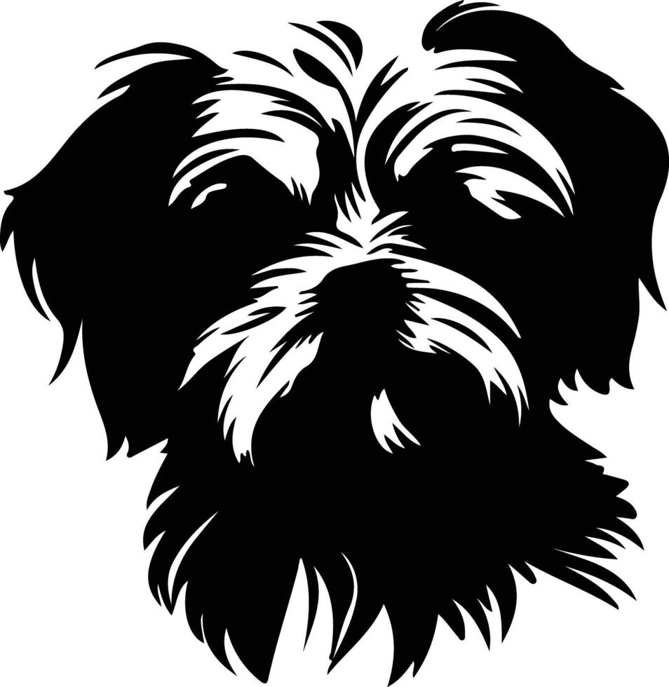 Maltese  silhouette portrait vector