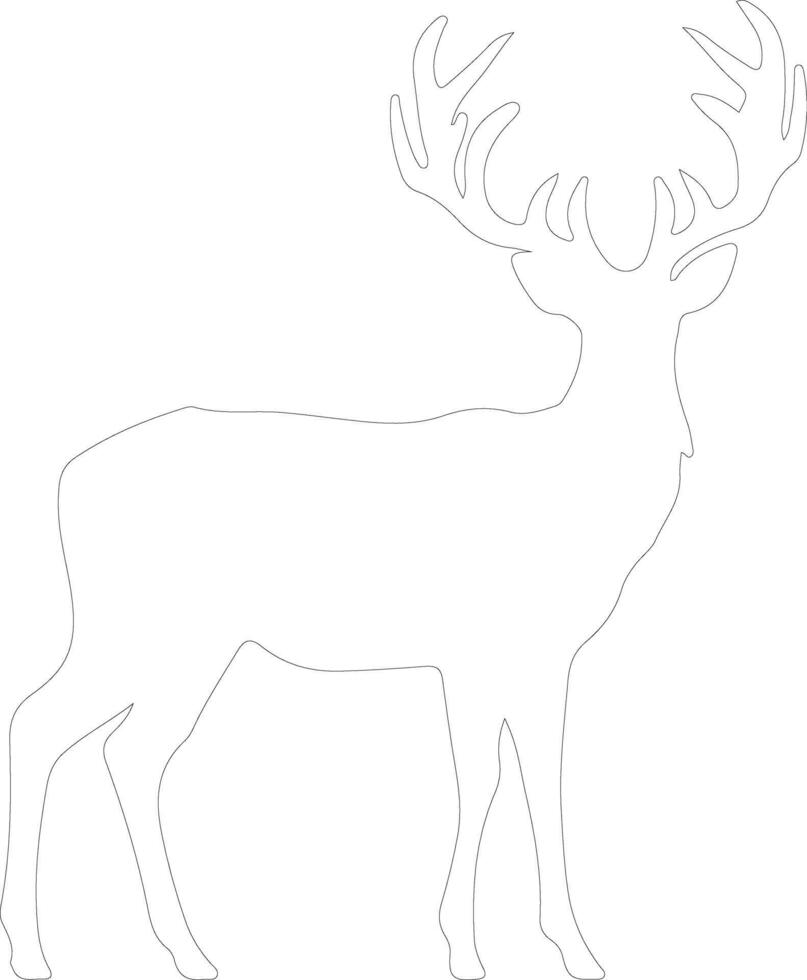 white-tailed deer  outline silhouette vector