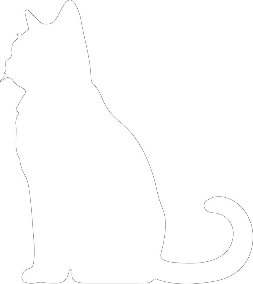 Chartreux Cat  outline silhouette vector