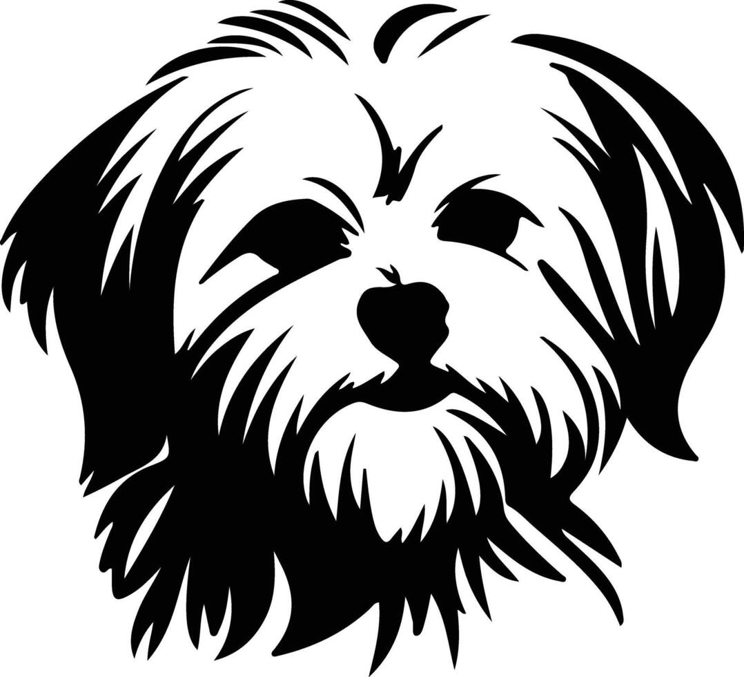 Maltese  silhouette portrait vector