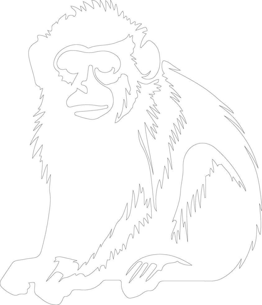 macaque  outline silhouette vector