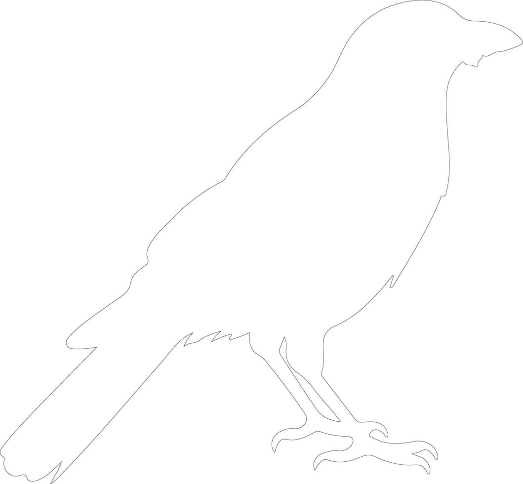 crow outline silhouette vector