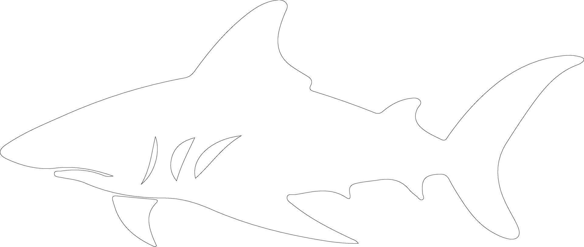 Port Jackson shark   outline silhouette vector