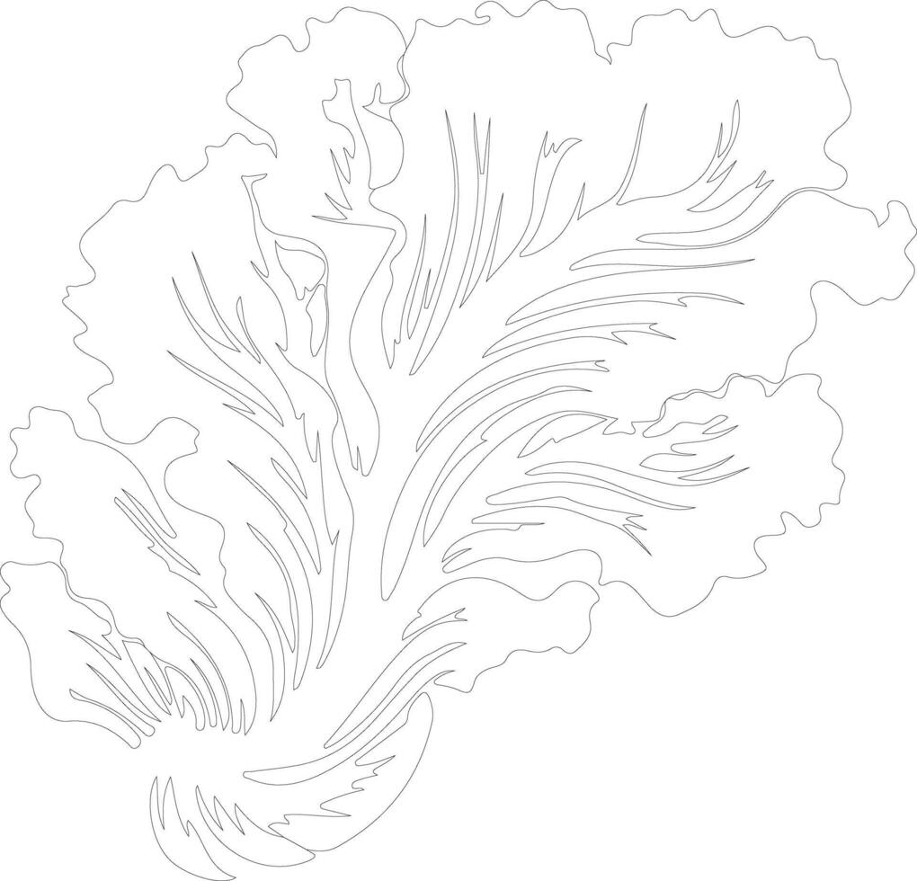 Chinese cabbage  outline silhouette vector