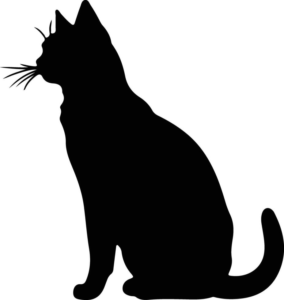 Australian Mist Cat black silhouette vector