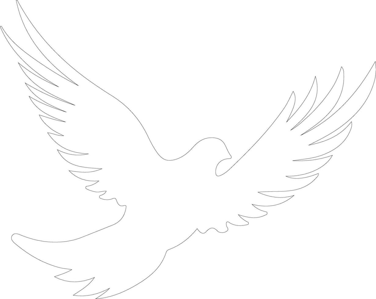 white dove outline silhouette 38497484 Vector Art at Vecteezy