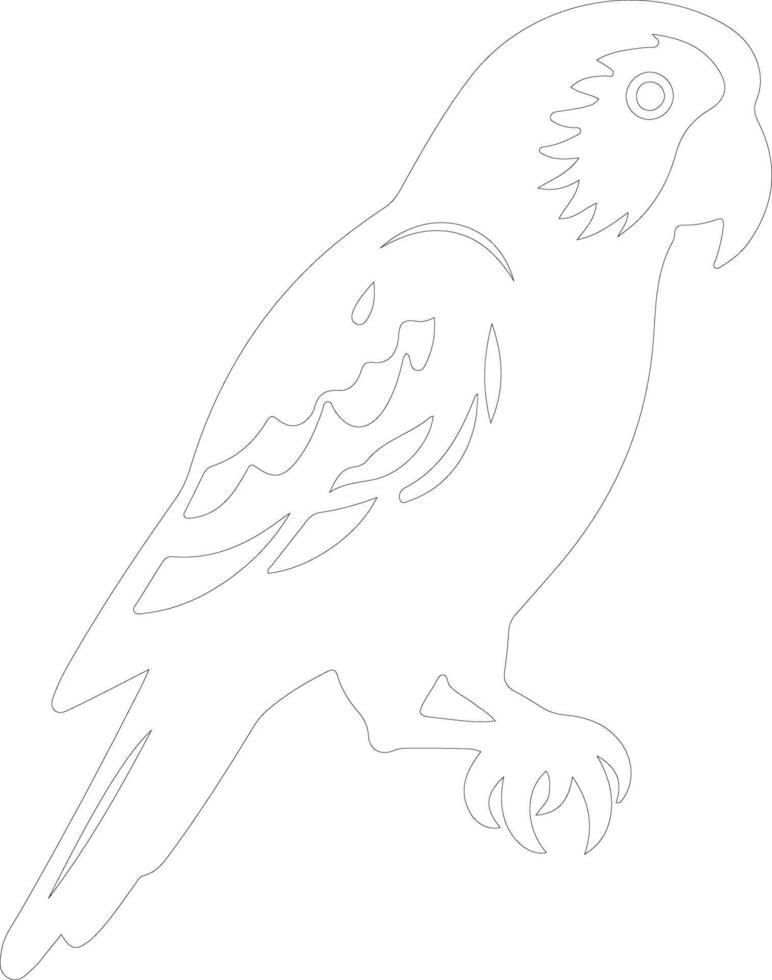 African gray parrot  outline silhouette vector