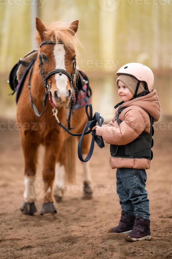 Portrait of little girl in protective jacket and helmet with her brown pony before riding Lesson. High quality photo