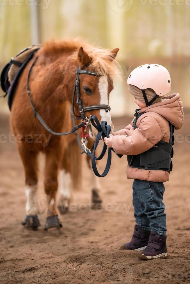 retrato de pequeño niña en protector chaqueta y casco con su marrón poni antes de montando lección. alto calidad foto