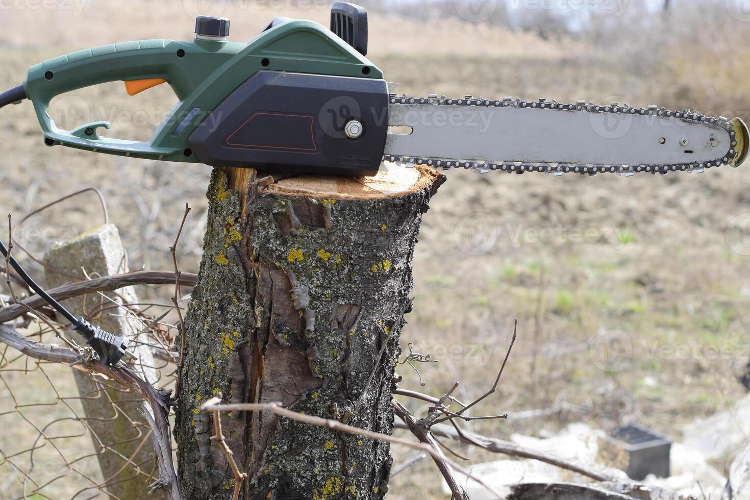 sawn electric sawing tree photo