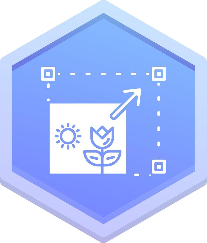 Resizing Polygon Icon vector