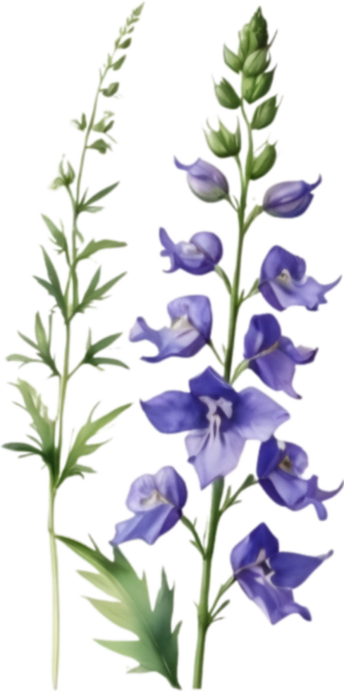 AI generated Watercolor painting of a larkspur flower. png