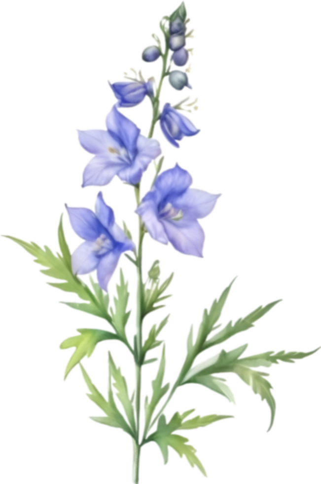 AI generated Watercolor painting of a larkspur flower. png