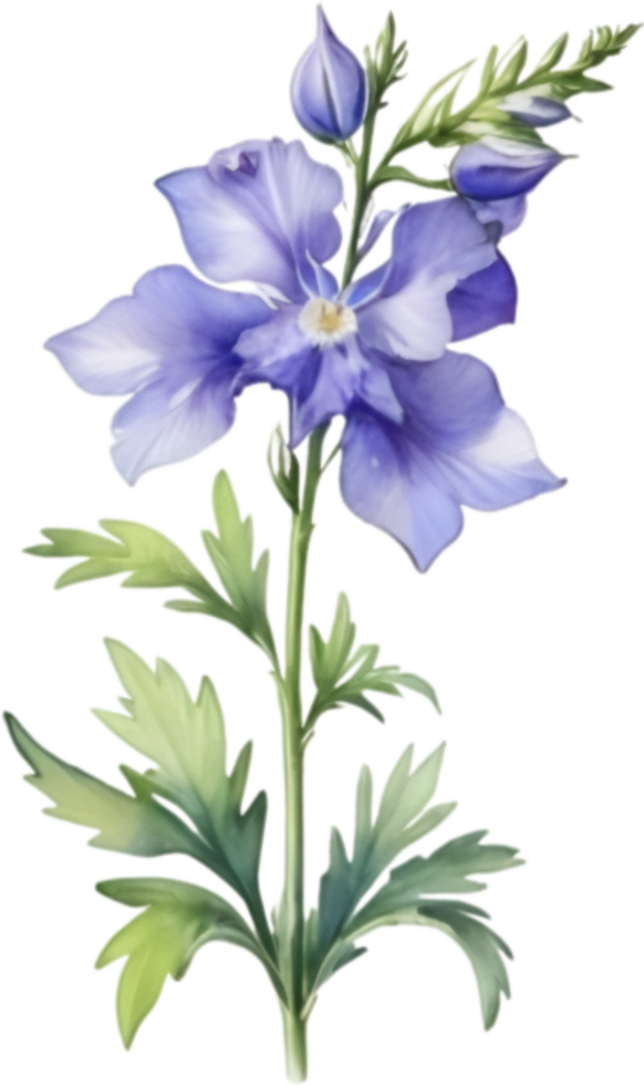 AI generated Watercolor painting of a larkspur flower. png