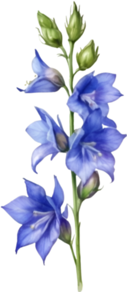 AI generated Watercolor painting of a larkspur flower. png