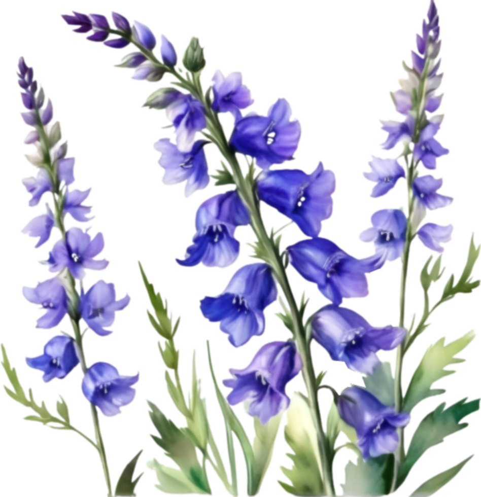 AI generated Watercolor painting of a larkspur flower. png