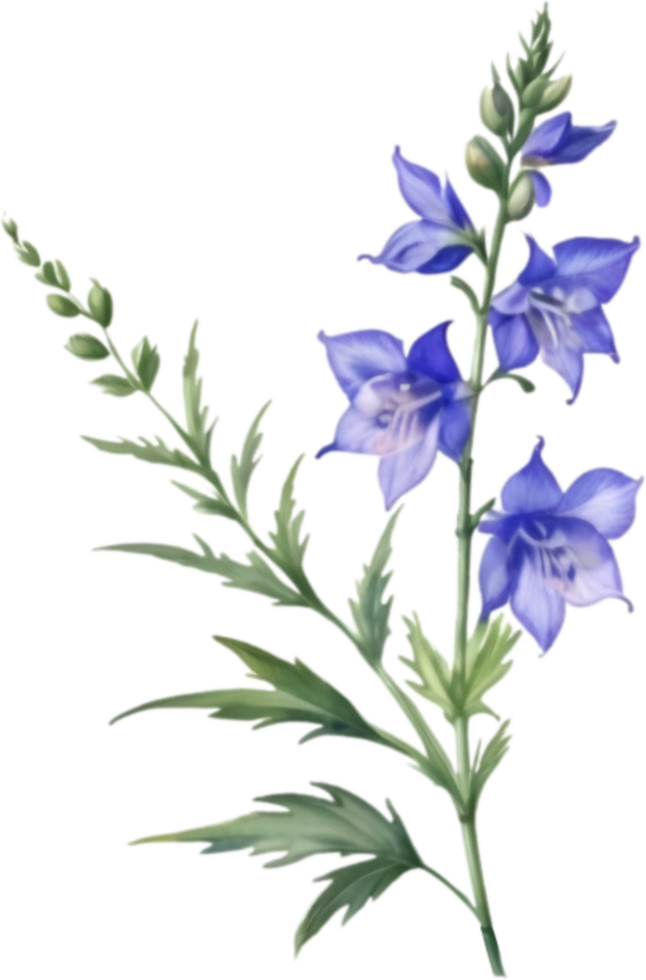 AI generated Watercolor painting of a larkspur flower. png