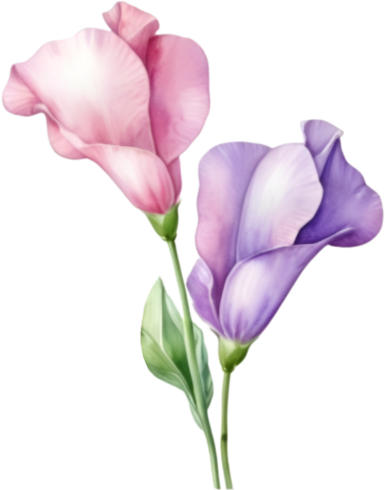AI generated Watercolor painting of a Sweet Pea flower. png