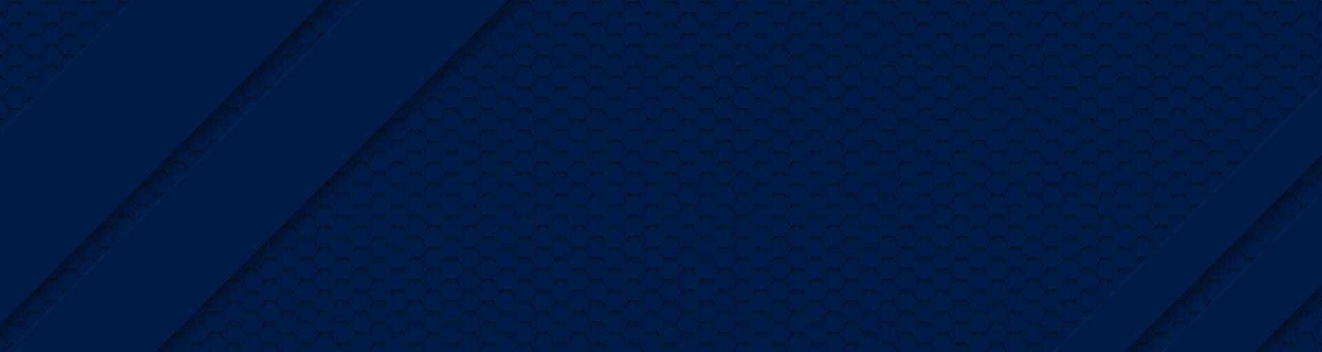 blue hexagon material modern background vector