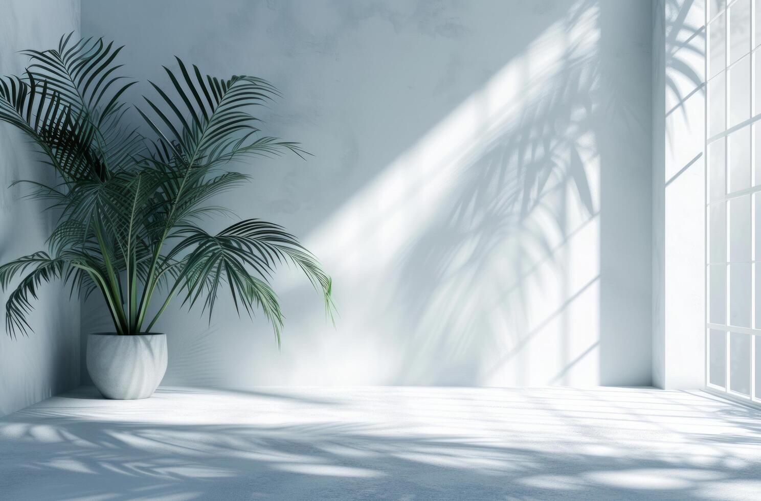 AI generated a background of a white room with a silhouette of a tropical tree photo