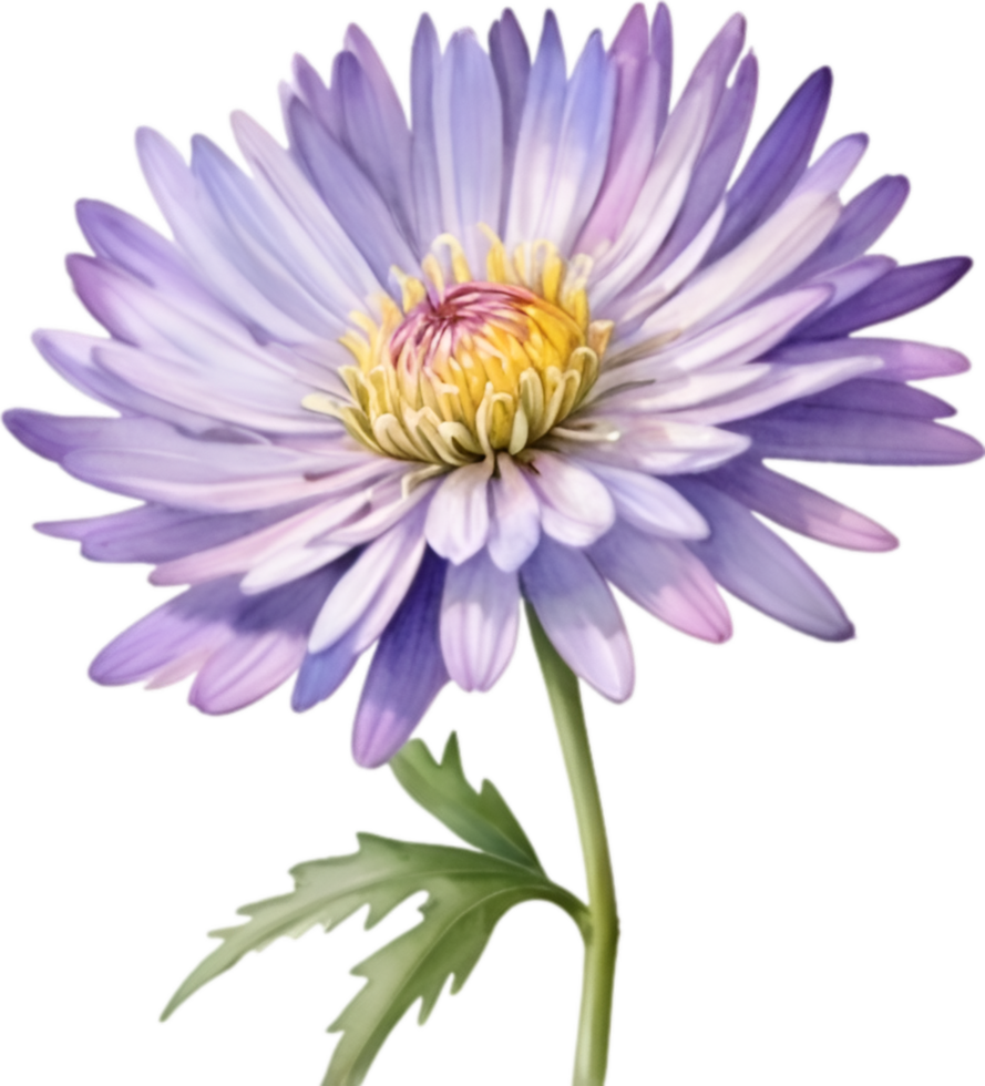 ai generiert Aquarell Gemälde von ein Aster Blume. png