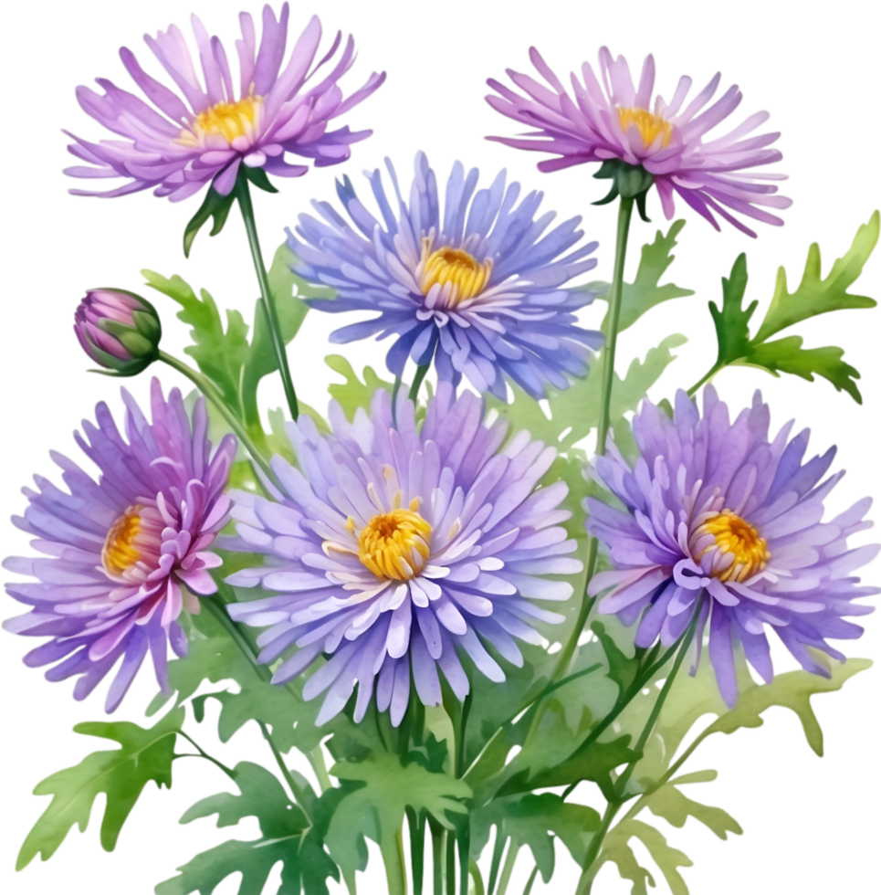 AI generated Watercolor painting of an aster flower. png