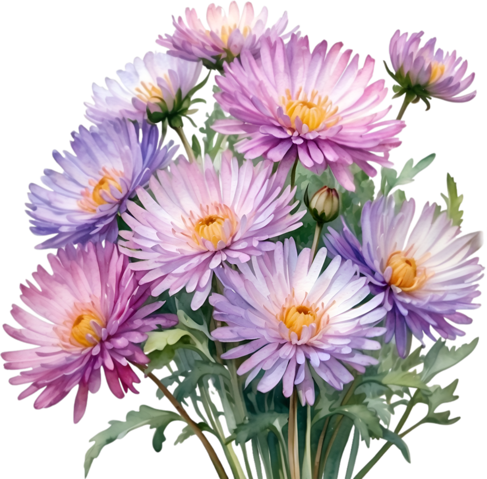 AI generated Watercolor painting of an aster flower. png