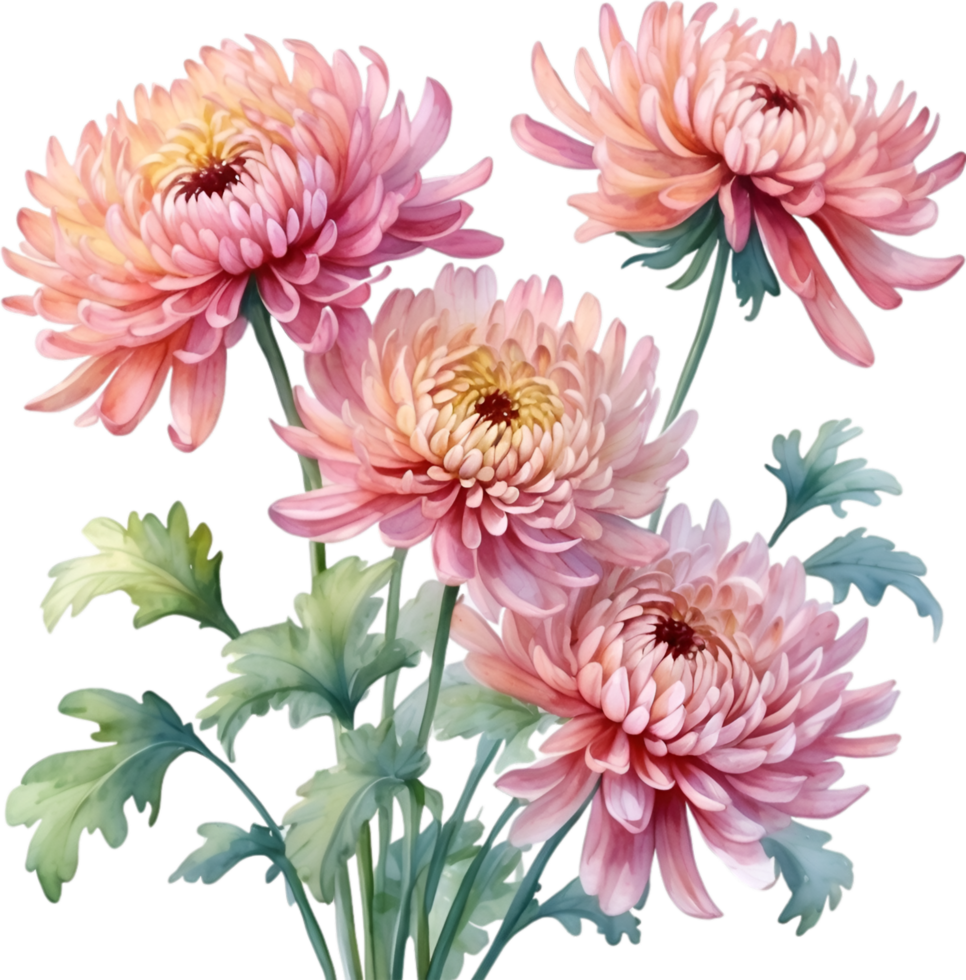ai genererad vattenfärg målning av en krysantemum blomma. png