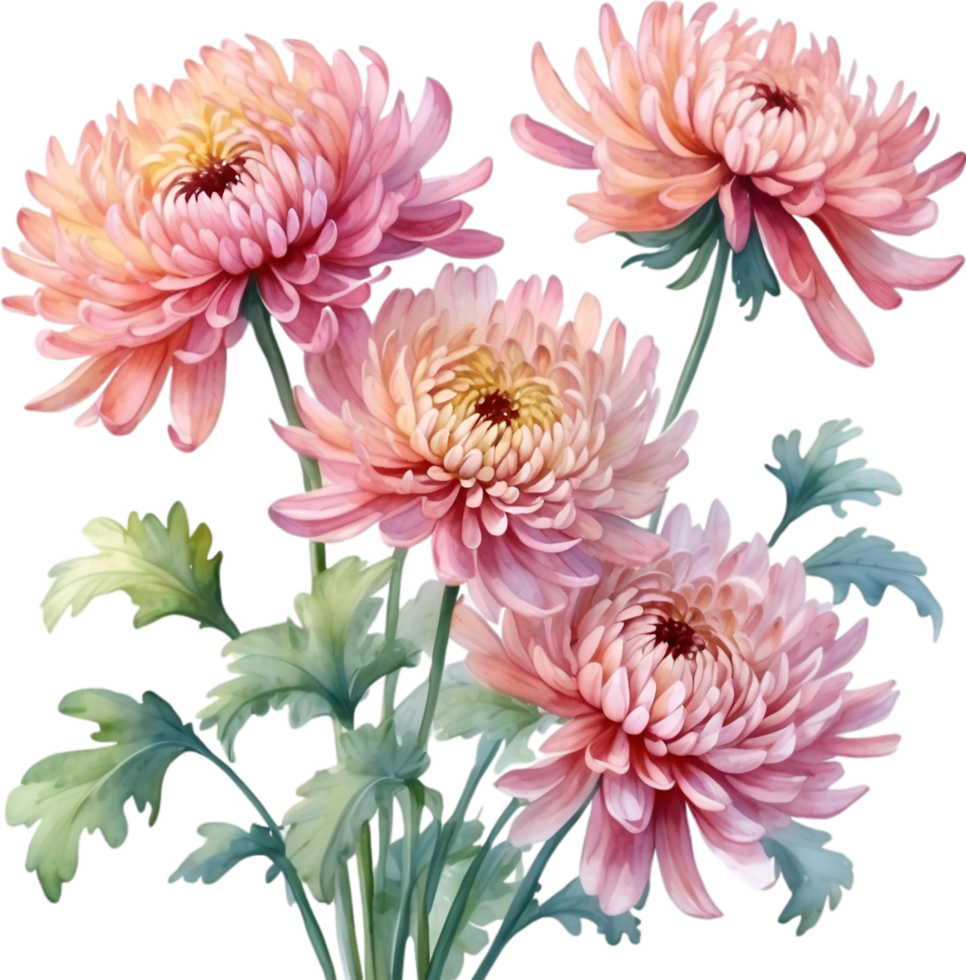 AI generated Watercolor painting of a Chrysanthemum flower. png