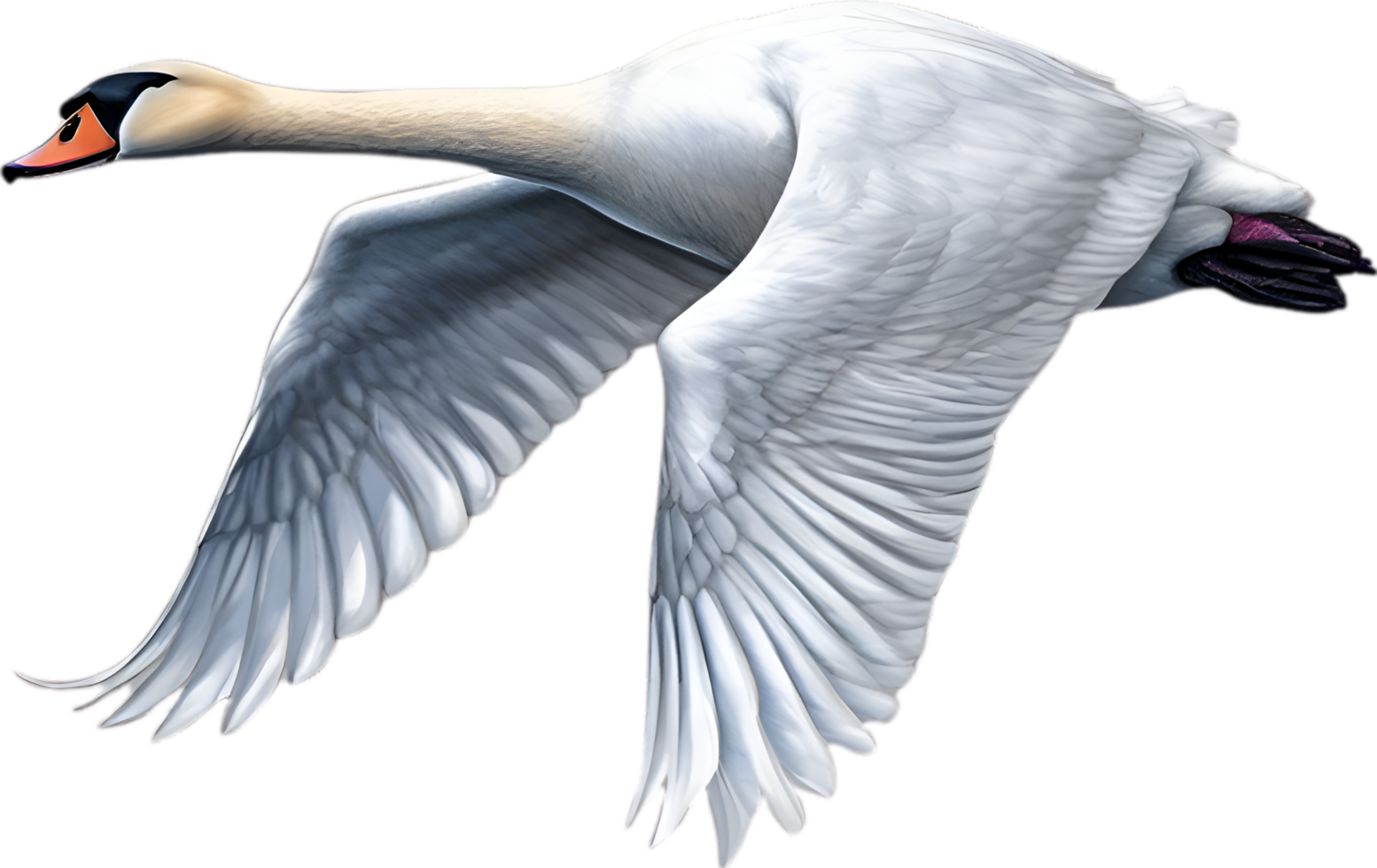 AI generated Mute Swan, Close-up colored-pencil sketch of a Mute Swan, Cygnus olor. png