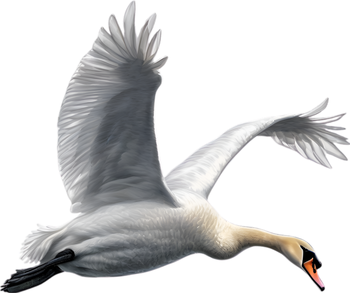 AI generated Mute Swan, Close-up colored-pencil sketch of a Mute Swan, Cygnus olor. png