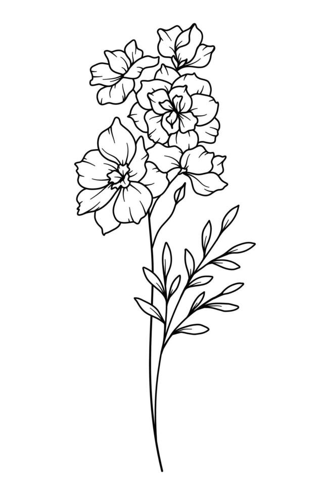 Larkspur Line Art. Delphinium outline Illustration. July Birth Month Flower. Delphinium outline isolated on white. Hand painted line art botanical illustration. vector