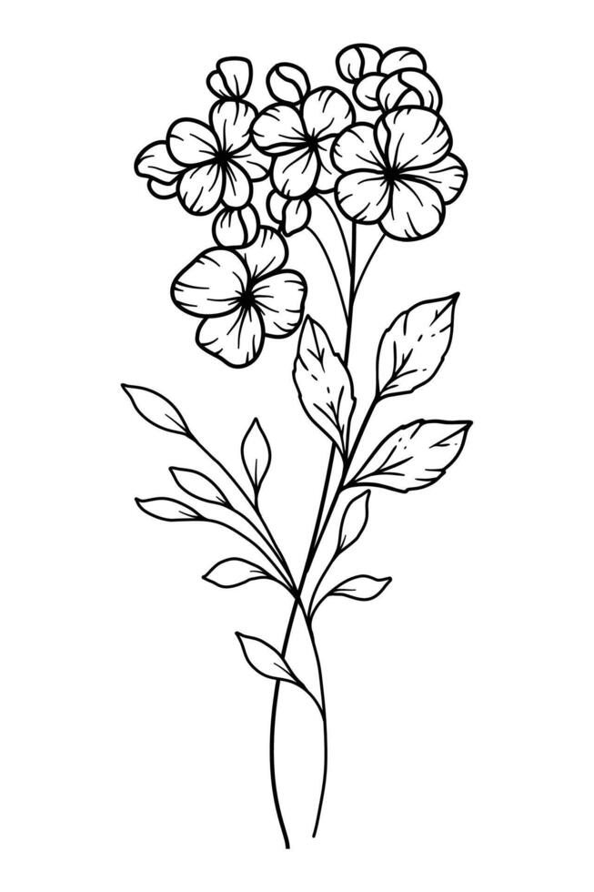 Hawthorns Line Art. Hawthorns outline Illustration. May Birth Month Flower. Hawthorns outline isolated on white. Hand painted line art botanical illustration. vector